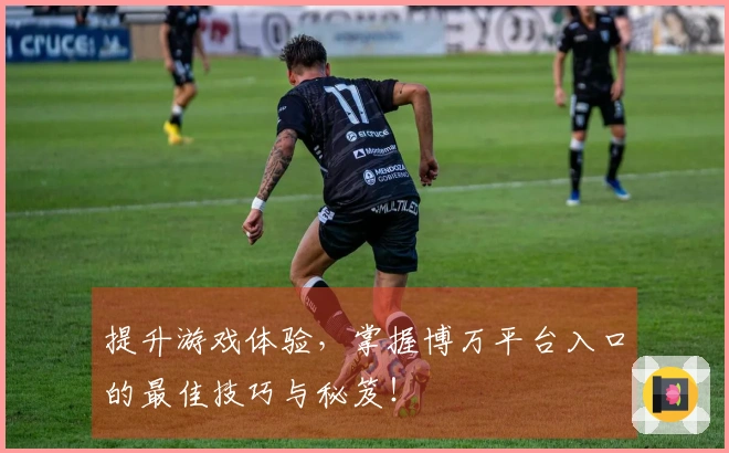 提升游戏体验，掌握博万平台入口的最佳技巧与秘笈！