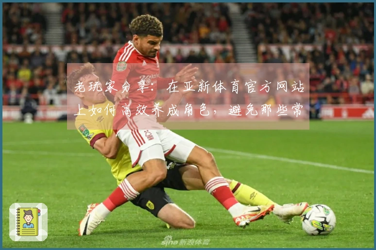 老玩家分享：在亚新体育官方网站上如何高效养成角色，避免那些常见的误区