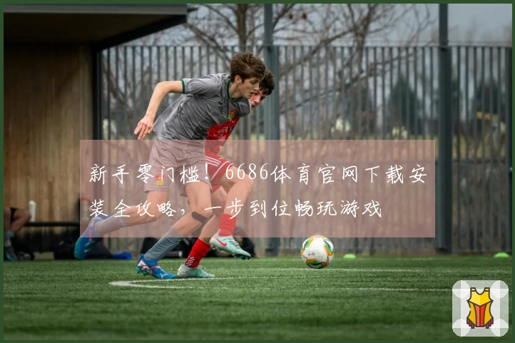 新手零门槛！6686体育官网下载安装全攻略，一步到位畅玩游戏