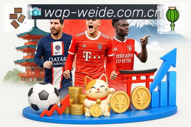 韦德体育弱网优化